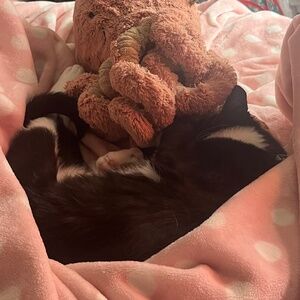 Meet your Posher, Liv